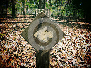 trail-marker-filtered-photo-sign-arrow-pointing-to-correct-direction-39992840